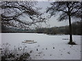 Roman Lakes in the snow in SK6 7DT