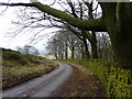 Lane down to Slackhall in Chapel East Ward