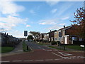 Rudston Avenue  Billingham in Billingham West & Wolviston Ward