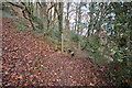 One of many stiles in Tutshill Wood in EX31 1AG