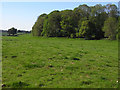 Pasture and woodland, Kintbury in RG17 9EB