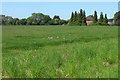 Grassland, East Garston in RG17 7AY