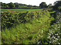 Track and farmland, Leckhampstead in RG20 8QW