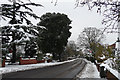 Snow in Leigham Court Road in SE27 0UD