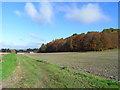 Track and farmland, Ardington in Ardington