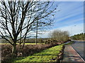 Road scene at lay-by near Pwll-trap in SA33 4AL