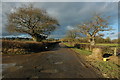 Track near Hart's Farm in GL19 3QL