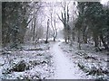 Path to the Curling Pond from Station Bank in NE40 3QQ