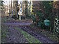 Footpath arrives at Alfold Road in GU8 4NR
