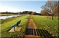 Langport: Footpath along the River Parrett in TA10 9PQ
