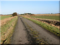 A bumpy lane in the Lincolnshire fens in PE12 0HF