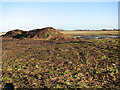Farm waste in a field beside Goochgate in PE12 0HF