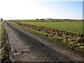 Approaching New Fen Drove on Goochgate in PE12 0HF