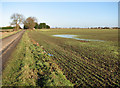 Frozen puddle in field south of Charlton House, Goochgate in PE12 0HF