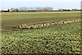 Drainage ditch in field south of Charlton House, Goochgate in PE12 0HF
