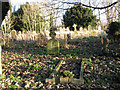 Holy Trinity church in Gedney Hill - churchyard in Gedney Hill