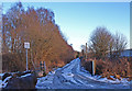 Icy Track leading to Moss Cottage in PA6 7BJ