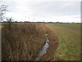 Drainage channel to Barnland Farm in TN29 9SU