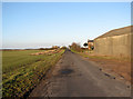 Lutton Gate Road past Lutton Gate Farmhouse in PE12 0QG