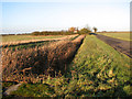 Drainage ditch beside Lutton Gate Road in PE12 0QG
