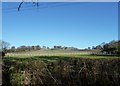 Fenced area at Tullen's Fruit Farm in Pulborough