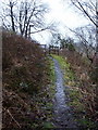 Footpath in Priestley Clough in BB5 0NX