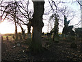 Sutton St Edmund churchyard in the late afternoon in Sutton St Edmund