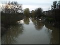 The River Mole, looking upstream, early spring in KT8 2LX
