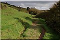 The Inland Footpath to Port Isaac in PL29 3SU