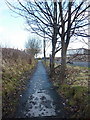 Footpath from Balfour Street to Lyndon Avenue in BB6 7TL