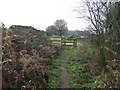Thetford To Watton Old Trackbed in NR17 1DR