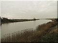Looking down the Relief Channel from Saddlebow Bridge in PE34 3AR