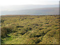Moorland above Cwmyoy in Crucorney Community