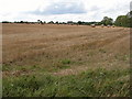 Straw bales in stubble field, Fields Farm in GL54 3AR