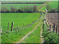 Track and farmland, Shilvinghampton, Portesham in DT3 4BX