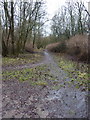 Footpath near Foxhill Bank House in BB5 4NQ