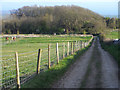 Pasture, track and woodland, Portesham in DT3 4ES