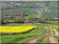 Track and farmland, Corton, Portesham in DT3 4HN