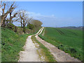 Track and farmland, Buckland Ripers, Chickerell in DT3 4BU