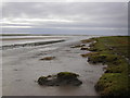 Edge of the marsh, Ribble Estuary in PR4 1SG