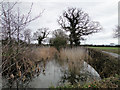 Ancient moat at Lymball's Farm, Darsham in IP17 3RN