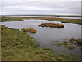 Pool on marshland, Ribble Estuary in PR4 1TB