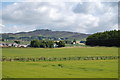 Auchterhouse : Looking towards Kirkton of Auchterhouse from North Dronley in DD3 0QL