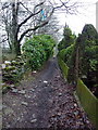 Footpath west of Owl Hall, Plantation Road, Accrington in BB5 2DQ