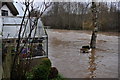 Bickleigh : The River Exe in EX16 8RD