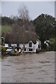 Bickleigh : River Exe & Cottage in EX16 8RD