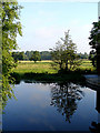 River Waveney from Bridge Street, Bungay in NR35 1EF