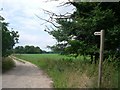 Bridleway near Middle Harling in Harling