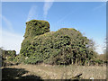 Bircham Tofts St Andrew's ruined church in PE31 6QX
