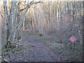 MOD track in Reinden Wood in CT18 7AW